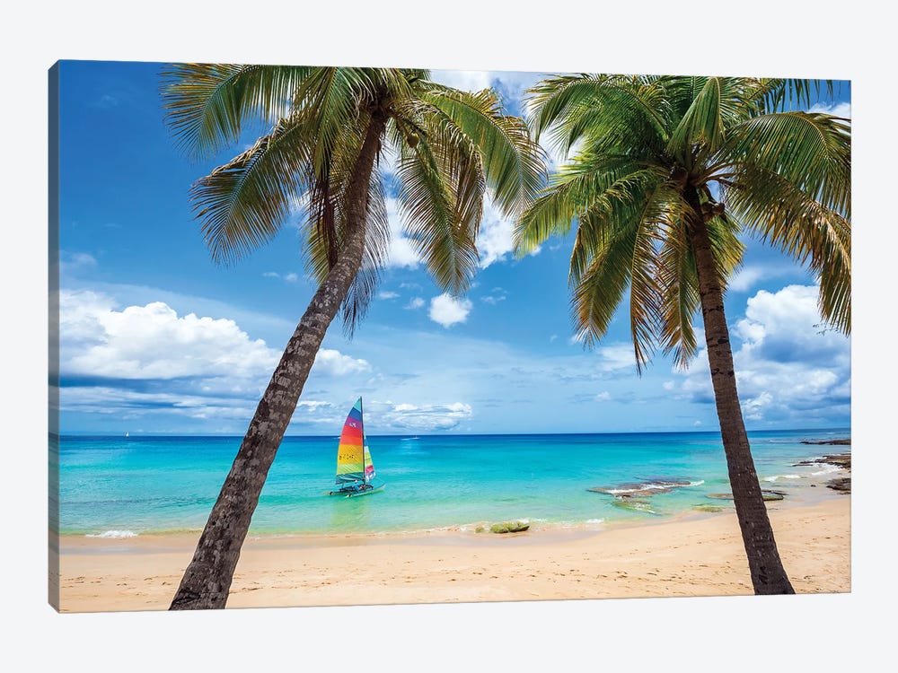 Postcard From Paradise by Lizzy Davis 1-piece Canvas Print