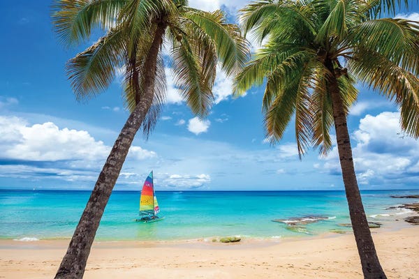 Postcard From Paradise