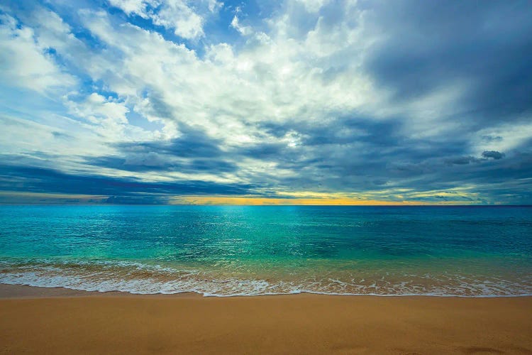 The Last Light by Lizzy Davis wall art