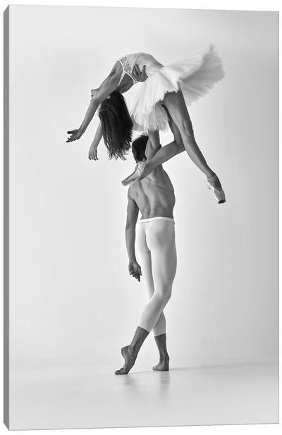 Softness & Strength Canvas Art Print - Ballet Art