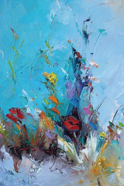 Colorful Field