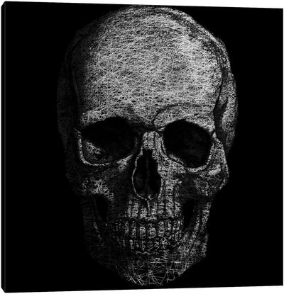 Modern Art- Skull Fibers Canvas Art Print - What "Dark Arts" Await Behind Each Door?