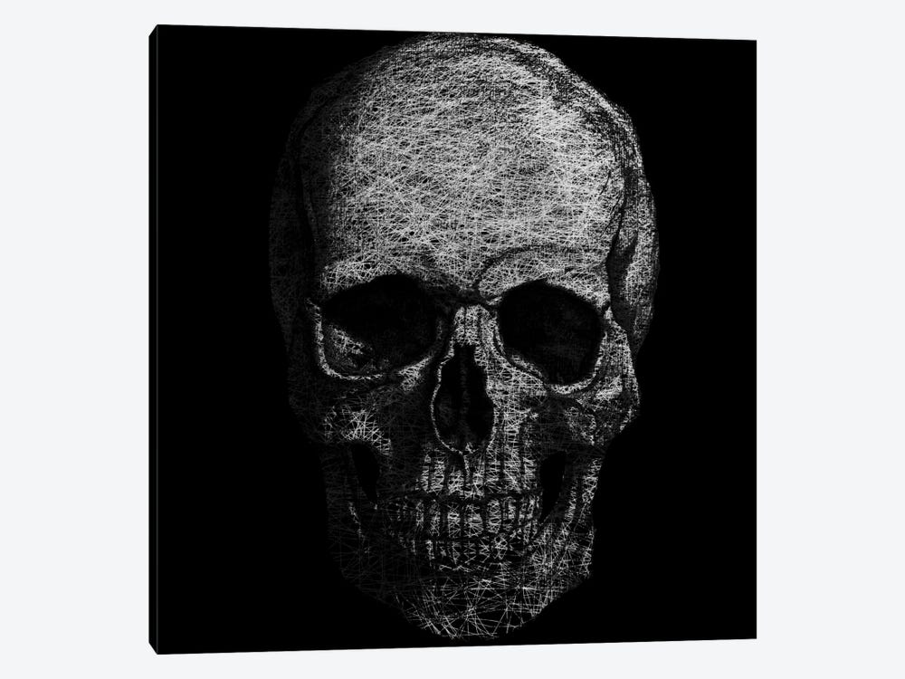 Modern Art- Skull Fibers by 5by5collective 1-piece Canvas Art Print
