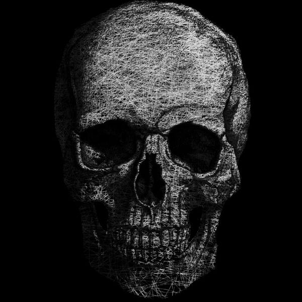 Modern Art Collection: Modern Art- Skull Fibers by 5by5collective