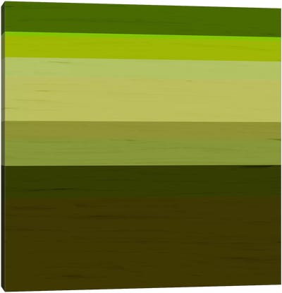 Modern Art- Olive Tree Canvas Art Print - Stripe Patterns