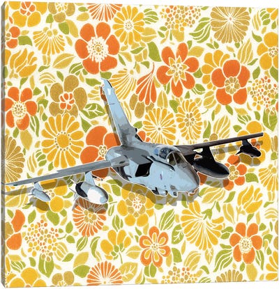 Modern Art- Flower Power Canvas Art Print - Military Aircraft Art