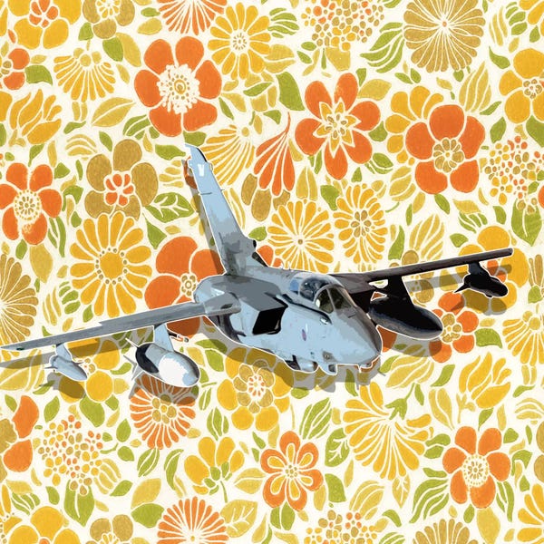 Military Aircraft: Modern Art- Flower Power by 5by5collective