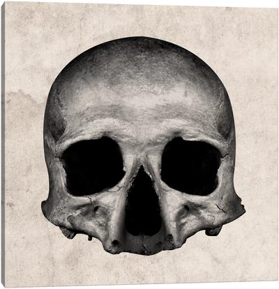 Modern Art- Excavation Canvas Art Print - Skull Art