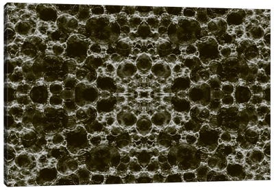 Modern Art - View Through a Microscope Canvas Art Print - Fabrizio