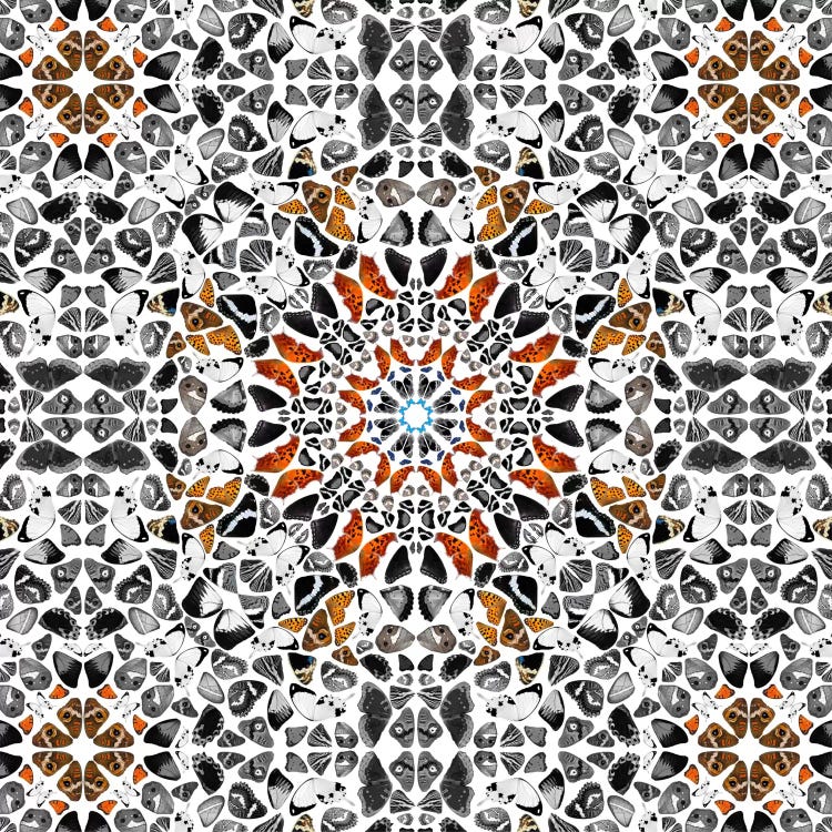 Modern Art- Wings of a Butterfly