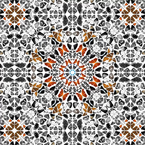 Middle Eastern Décor: Modern Art- Wings of a Butterfly by 5by5collective