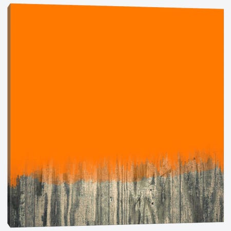 Modern Art- Over the Wood Fence Canvas Print #MA62} by 5by5collective Canvas Print