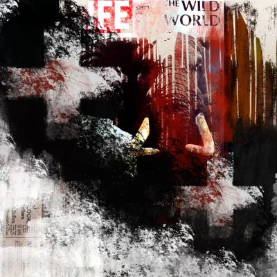 Modern Art- The Wild World by 5by5collective canvas print