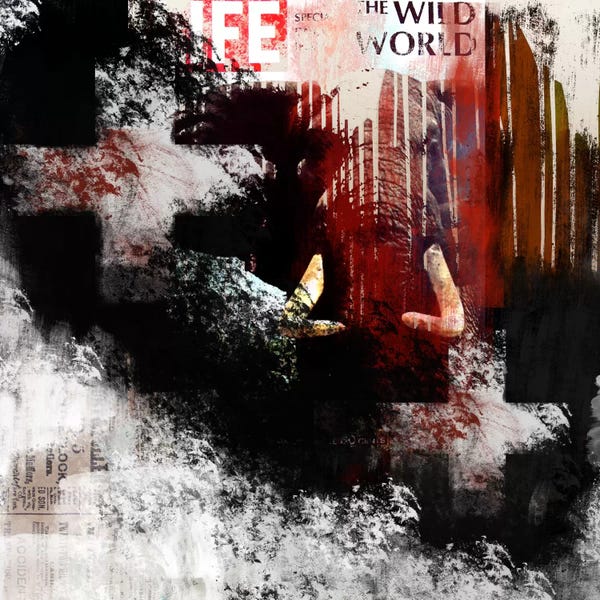 Modern Art Collection: Modern Art- The Wild World by 5by5collective