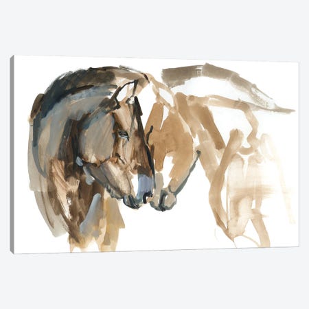 Nose To Nose (Przewalski) Canvas Print #MAD13} by Mark Adlington Canvas Art