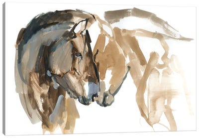 Nose To Nose (Przewalski) Canvas Art Print - Mark Adlington