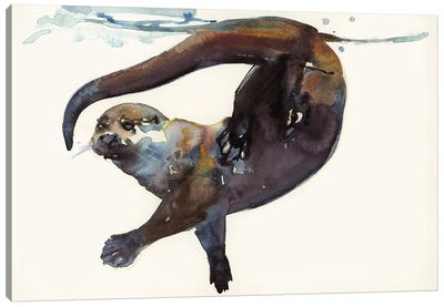 Otter Study II (Talisker) Canvas Art Print - Mark Adlington