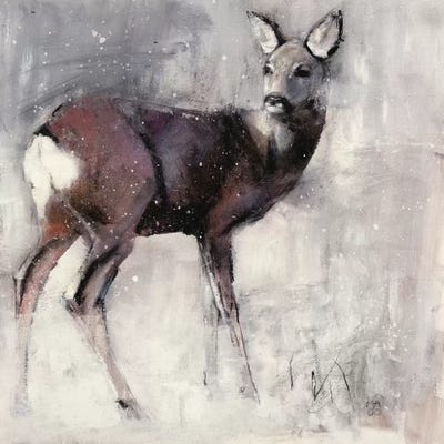 Roe Doe by Mark Adlington framed canvas print