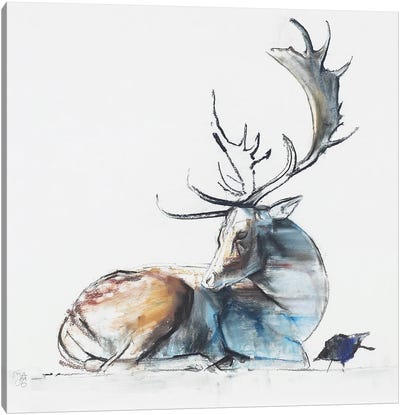 Buck And Bird, 2006 Canvas Art Print - Mark Adlington