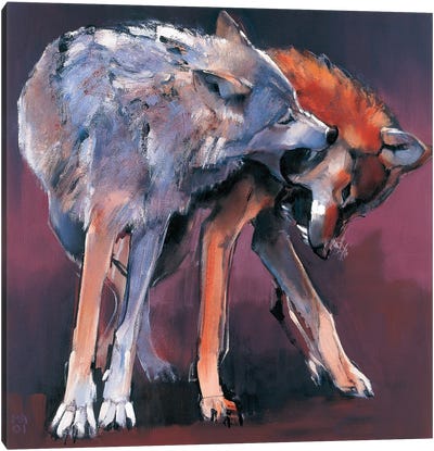 Two Wolves, 2001 Canvas Art Print - Mark Adlington