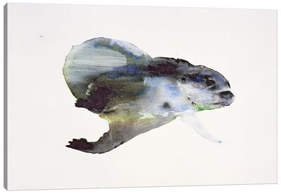 Underwater Canvas Art Print - Mark Adlington
