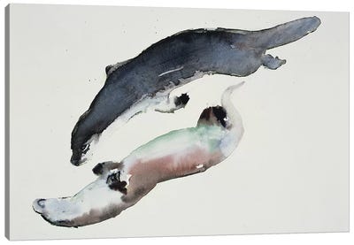 Yin Yang Canvas Art Print - Otters