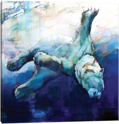Arc of the Diver, 2016 Canvas Art Print - Polar Bear Art