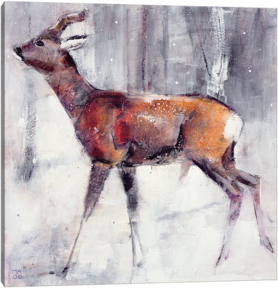 Buck In The Snow, 2000 Canvas Art Print - Mark Adlington
