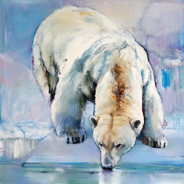 Polar Bears: Snow, 2016 by Mark Adlington