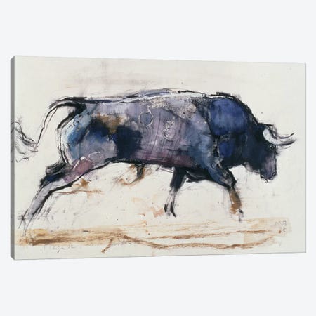 Charging Bull, 1998 Canvas Print #MAD4} by Mark Adlington Canvas Artwork