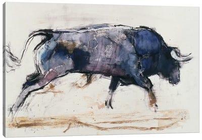 Charging Bull, 1998 Canvas Art Print - Bull Art