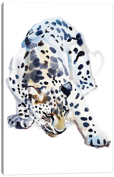 Arabian Leopard II, 2008 Canvas Art Print - Mark Adlington