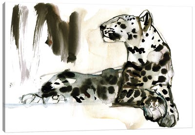 Arabian Leopard III, 2008 Canvas Art Print - Mark Adlington