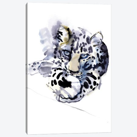 Arabian Leopard IV, 2008 Canvas Print #MAD55} by Mark Adlington Canvas Art Print