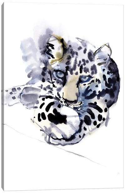 Arabian Leopard IV, 2008 Canvas Art Print - Mark Adlington