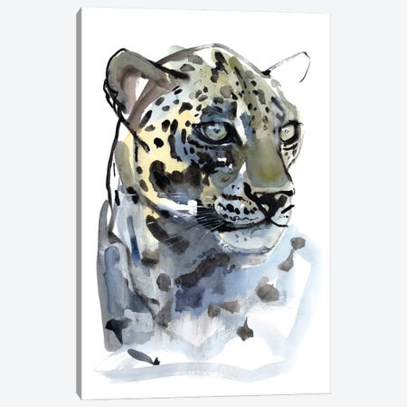 Arabian Leopard V, 2008 Canvas Print #MAD56} by Mark Adlington Canvas Print