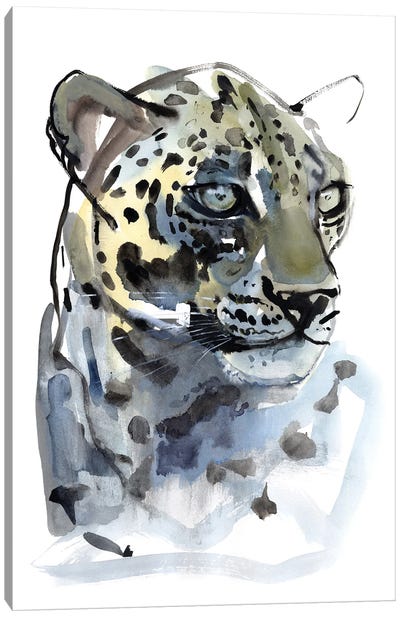 Arabian Leopard V, 2008 Canvas Art Print - Mark Adlington