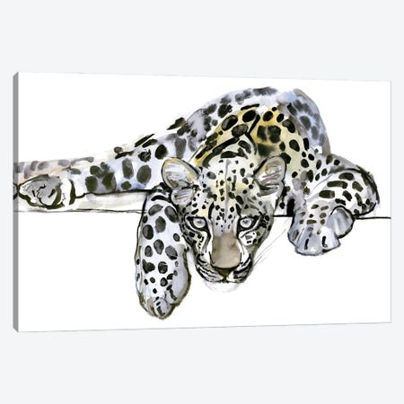 Arabian Leopard VI, 2008 Canvas Print #MAD57} by Mark Adlington Canvas Art Print