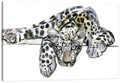 Arabian Leopard VI, 2008 Canvas Art Print - Mark Adlington