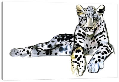 Arabian Leopard VII, 2008 Canvas Art Print - Mark Adlington