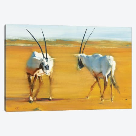Circling Arabian Oryx, 2010 Canvas Print #MAD65} by Mark Adlington Canvas Artwork