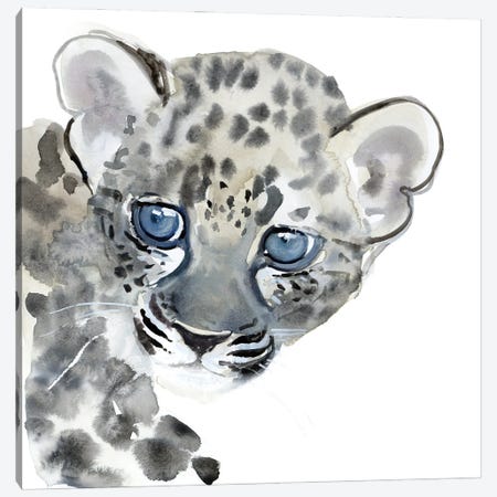 Cub (Arabian Leopard), 2015 Canvas Print #MAD66} by Mark Adlington Canvas Art