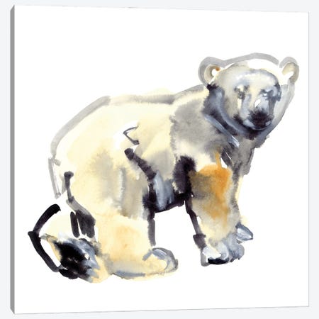 Cub (Polar Bear), 2015 Canvas Print #MAD67} by Mark Adlington Canvas Wall Art