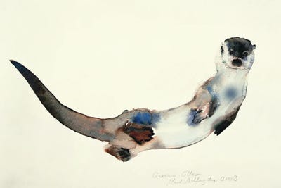 Curious Otter, 2003 by Mark Adlington framed canvas print