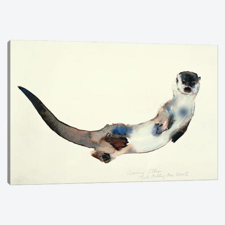 Curious Otter, 2003 Canvas Print #MAD68} by Mark Adlington Art Print