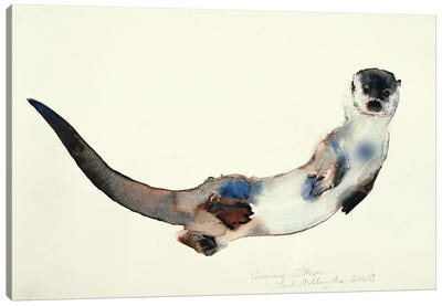 Curious Otter, 2003 Canvas Art Print - Mark Adlington