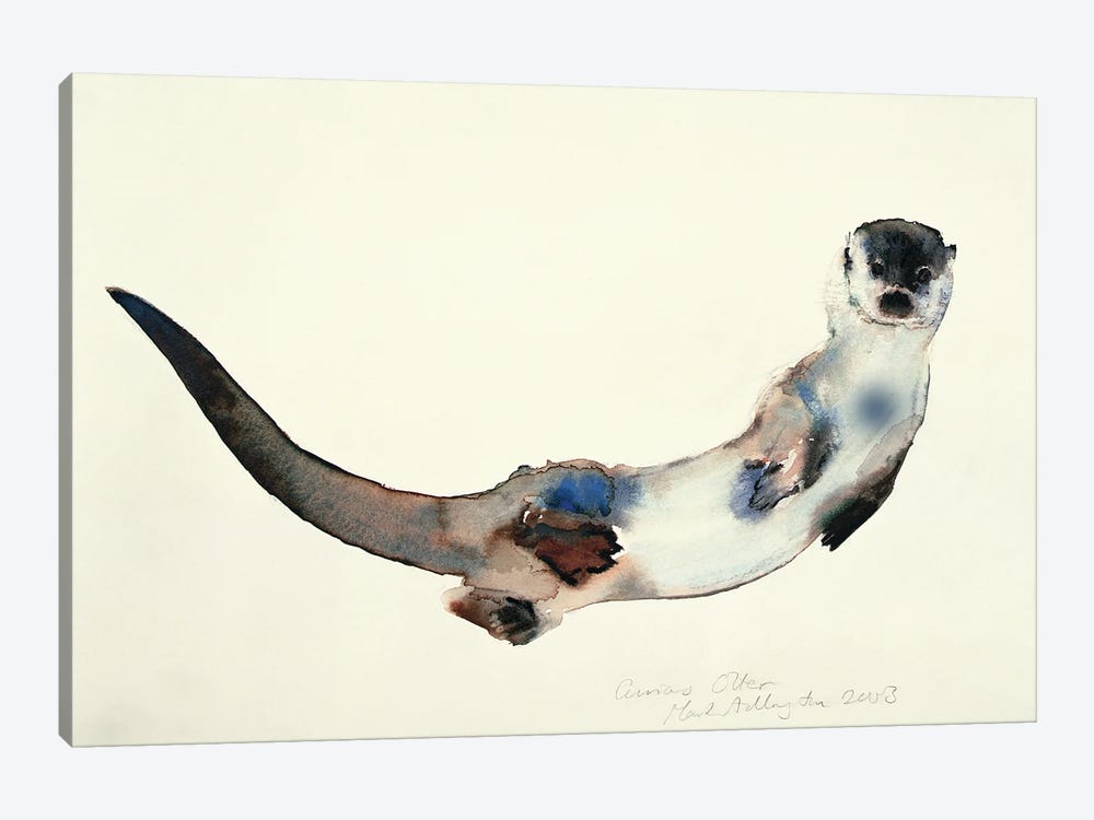 Curious Otter, 2003 by Mark Adlington 1-piece Canvas Artwork