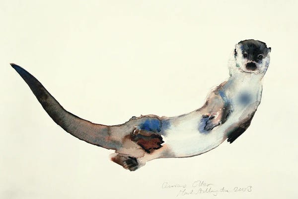 Mark Adlington: Curious Otter, 2003 by Mark Adlington