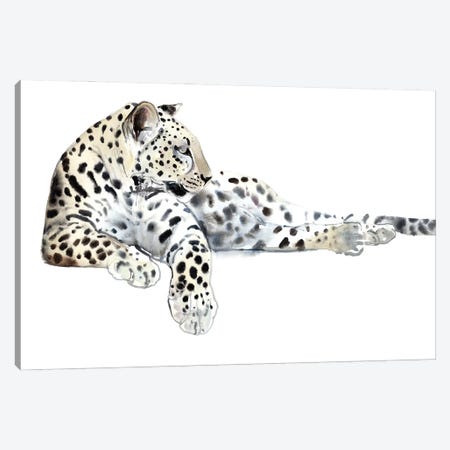 Long (Arabian Leopard), 2015 Canvas Print #MAD80} by Mark Adlington Art Print