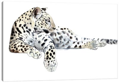 Long (Arabian Leopard), 2015 Canvas Art Print - Leopard Art